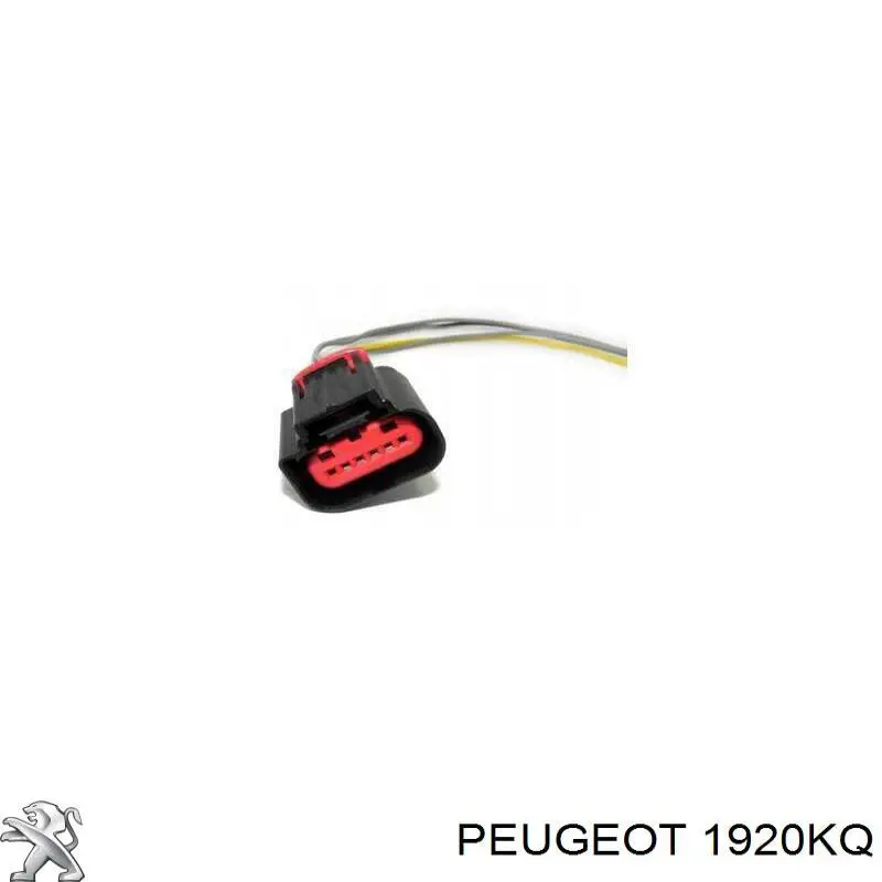 Датчик масової витрати повітря Peugeot/Citroen 1920KQ ціна, від 73.60 USD