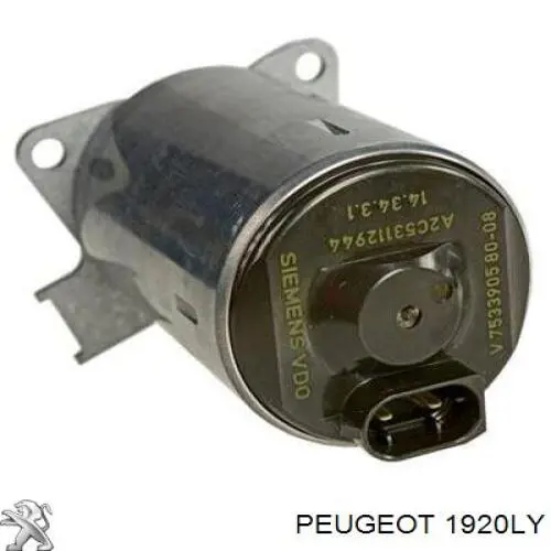 Купити 00001920LY Peugeot/Citroen Регулятор фаз газорозподілу