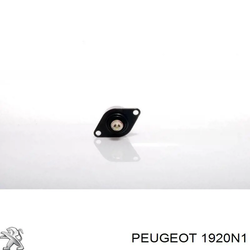 Регулятор холостого ходу Peugeot/Citroen 1920N1