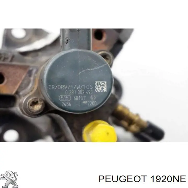 1920NE Peugeot/Citroen насос паливний високого тиску (пнвт - DIESEL)