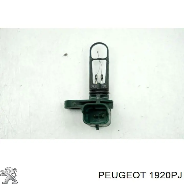 1920PJ Peugeot/Citroen Датчик температури повітряної суміші