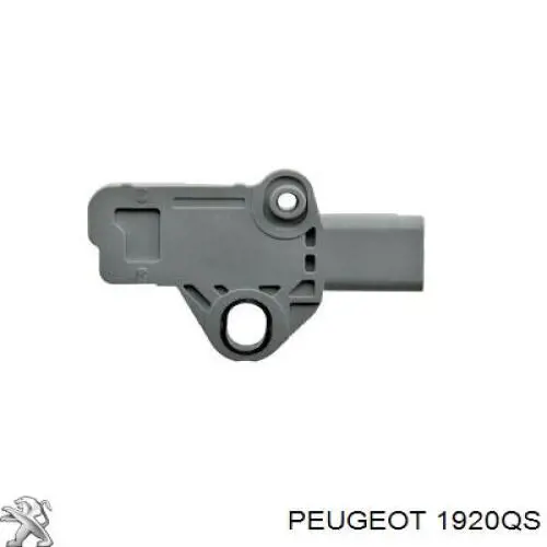 1920QS Peugeot/Citroen ДПКВ