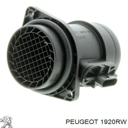 Купити 1920RW Peugeot/Citroen Повітромір