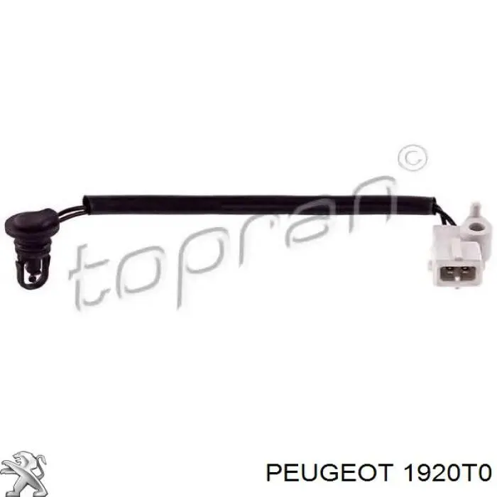 Датчик температури повітряної суміші Peugeot/Citroen 1920T0 ціна, від 23.34 USD