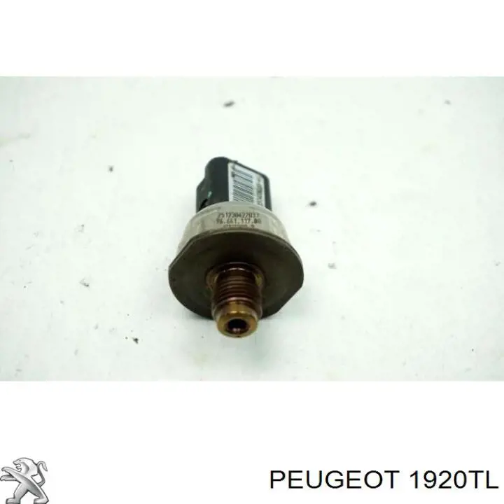 Датчик тиску палива 1920TL Peugeot/Citroen