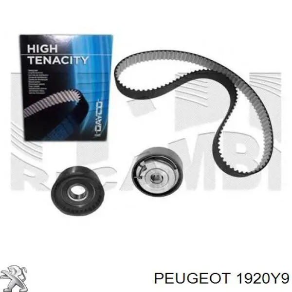 Датчик обертів колінвалу Peugeot/Citroen 1920Y9 ціна, від 16.34 USD