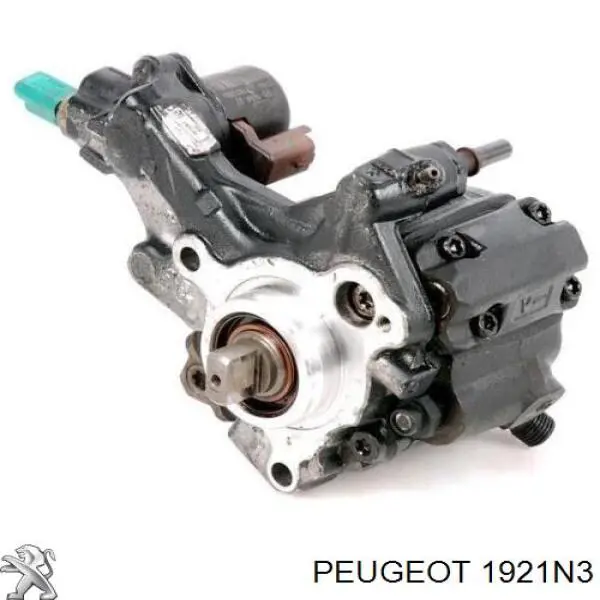 Система харчування двигуна 1921N3 PEUGEOT
