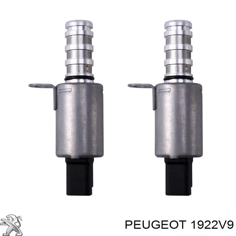 Купити 1922V9 Peugeot/Citroen Клапан фазорегулятора