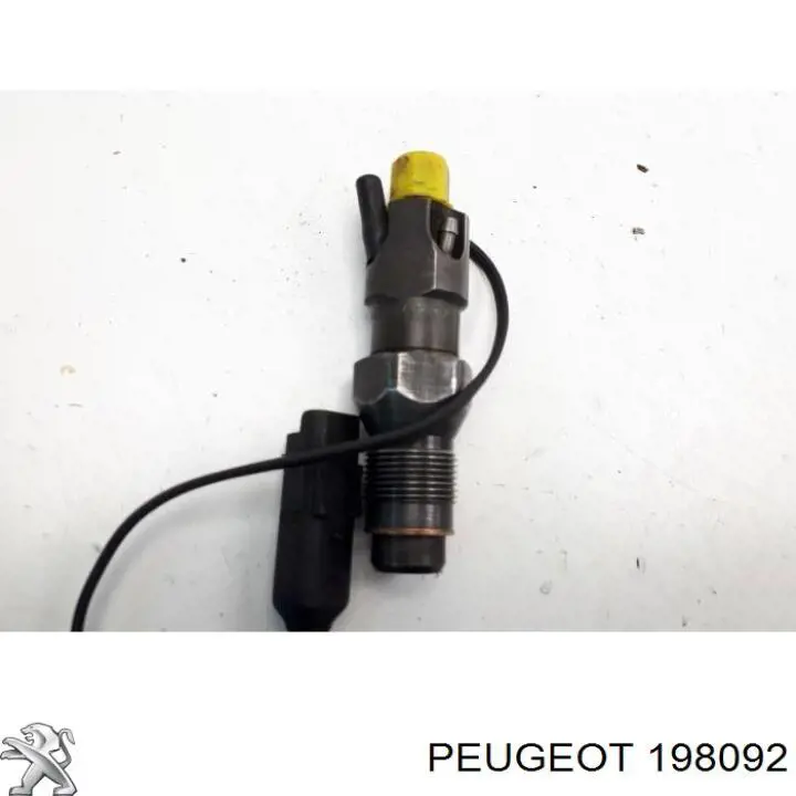 Розпилювач дизельної форсунки 198069 Peugeot/Citroen