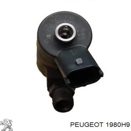 Купити 1980H9 Peugeot/Citroen Форсунка дизельна в зборі, розпилювач + тримач