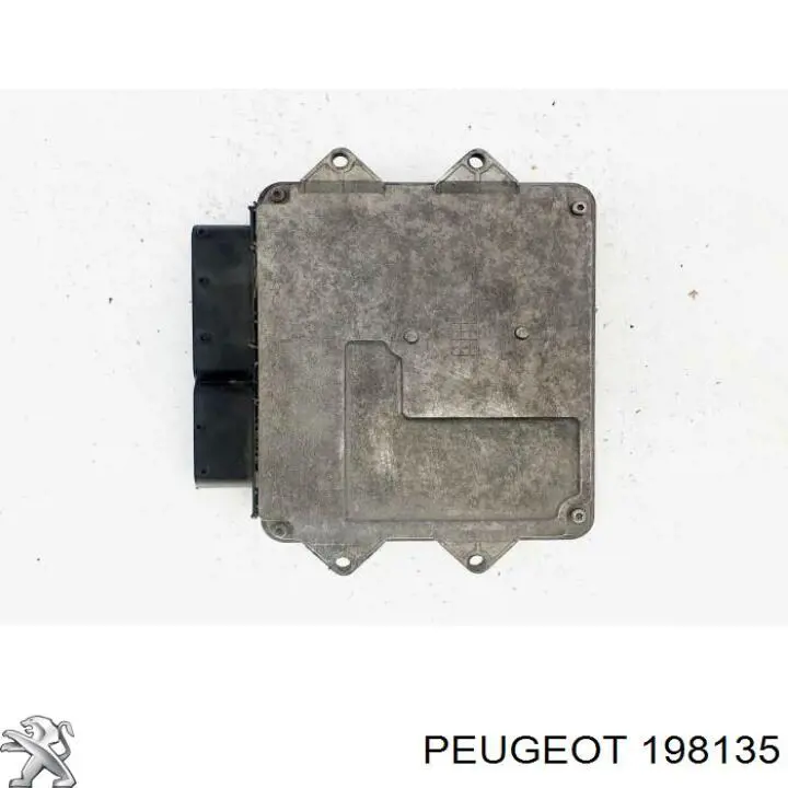 198135 Peugeot/Citroen ремкомплект форсунки