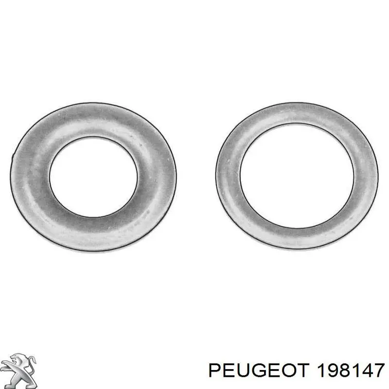 Ремкомплект насос-форсунки Peugeot/Citroen 0000198147
