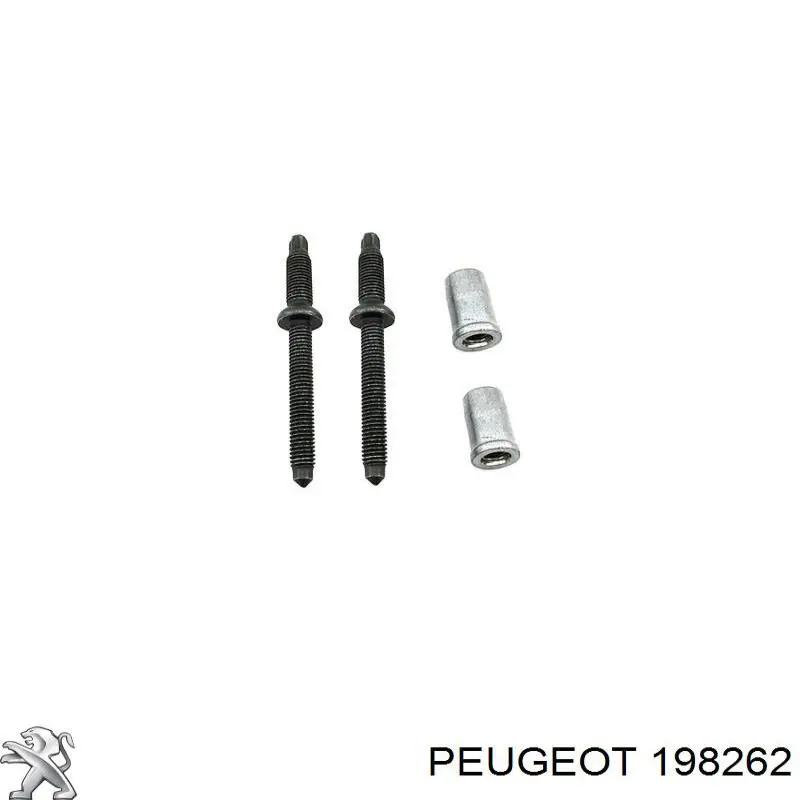 Купити 198262 Peugeot/Citroen Болт кріплення форсунки