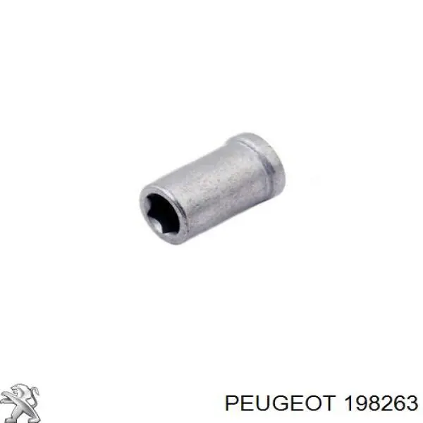 Гайка кріплення форсунки 198263 Peugeot/Citroen
