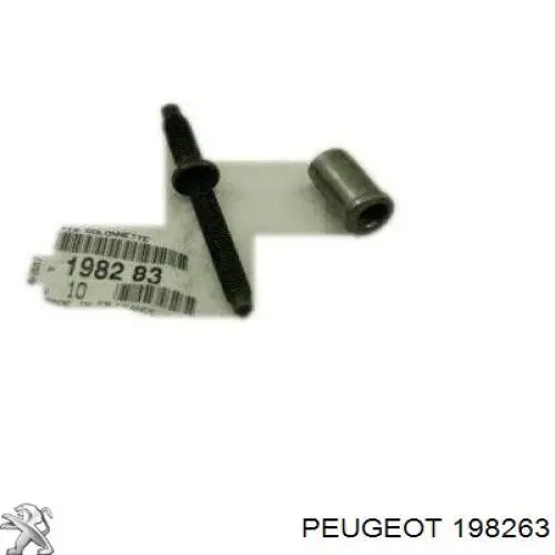 Гайка кріплення форсунки Peugeot 406 (8E, F) (Пежо 406)