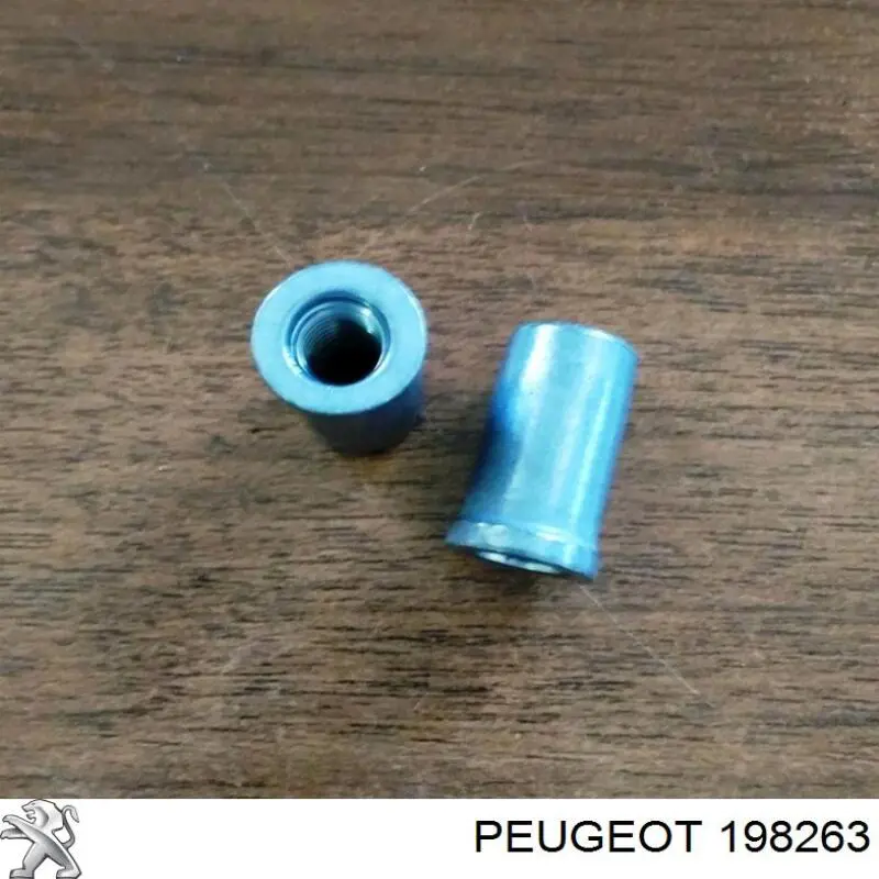 Купити 198263 Peugeot/Citroen Гайка кріплення форсунки