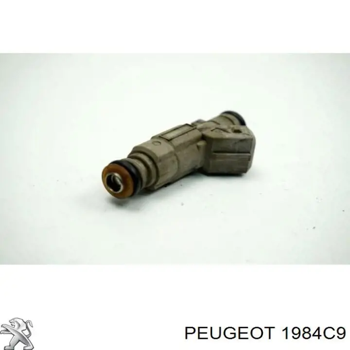 Купити 1984C9 Peugeot/Citroen Форсунка дизельна в зборі, розпилювач + тримач
