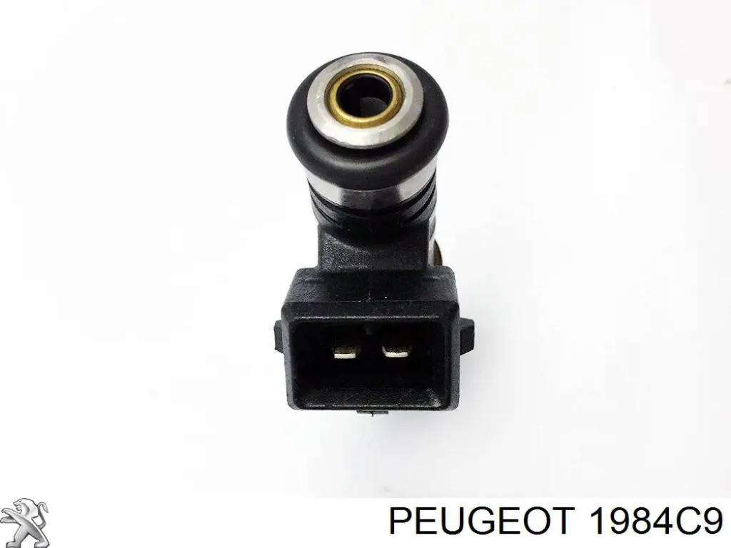 Форсунка інжектора Peugeot/Citroen 1984C9