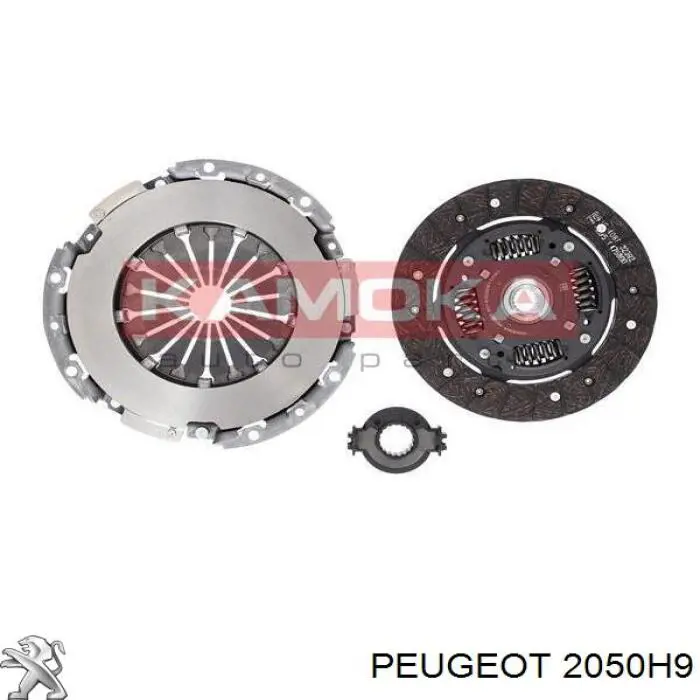  2050H9 Peugeot/Citroen