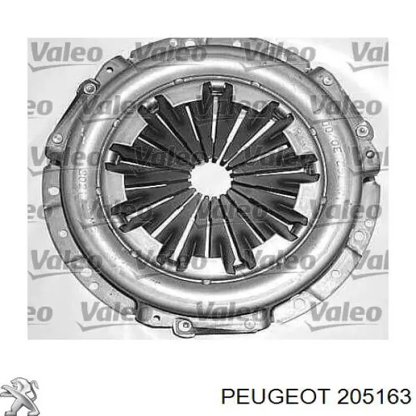 Купити 205163 Peugeot/Citroen Комплект зчеплення (диск, корзина, підшипник)