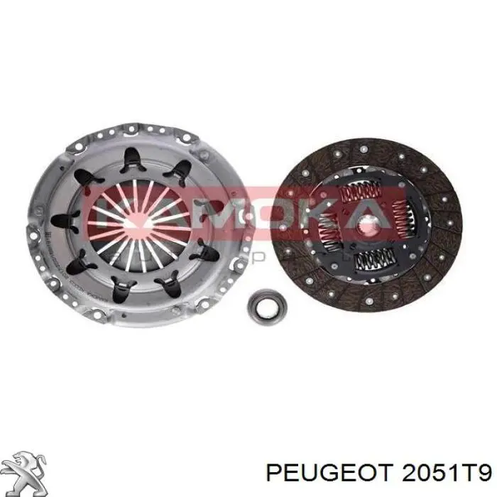 2051T9 Peugeot/Citroen комплект зчеплення (3 частини)