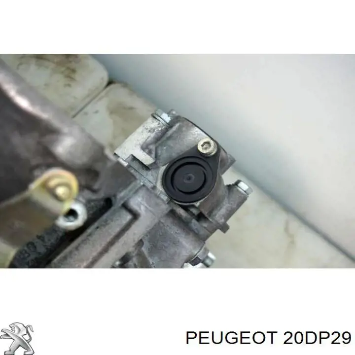 20DP29 Peugeot/Citroen МКПП