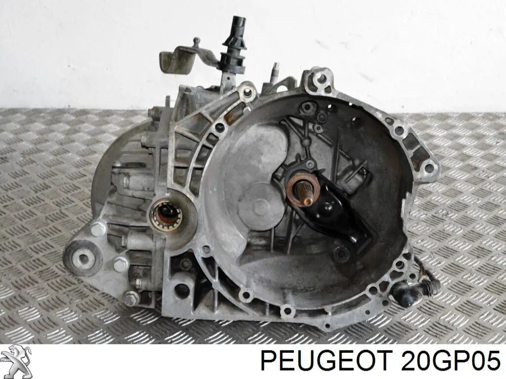  20GP05 Peugeot/Citroen