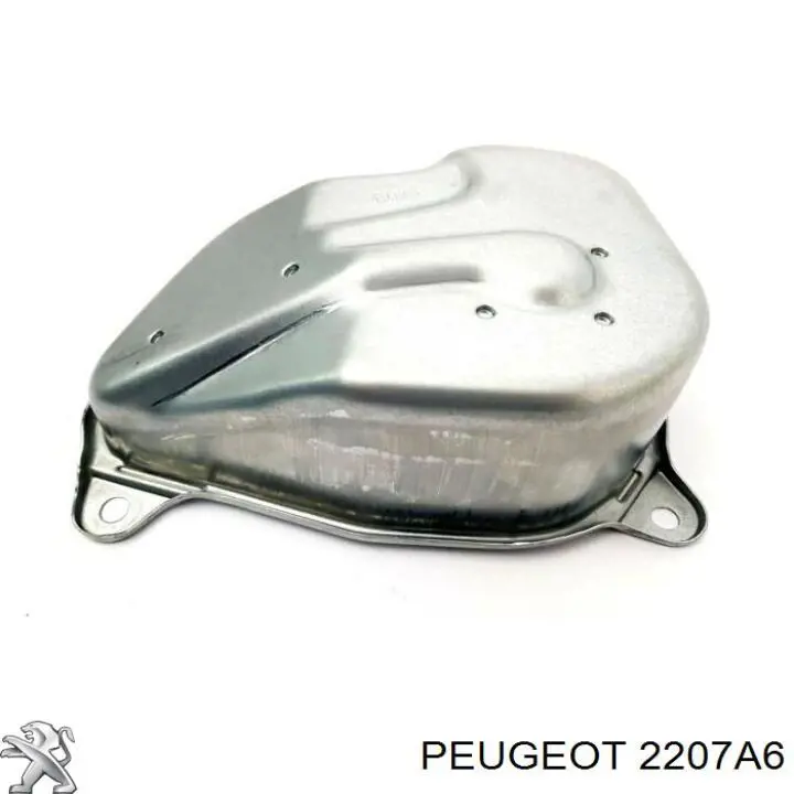 Купити 2207A6 Peugeot/Citroen 