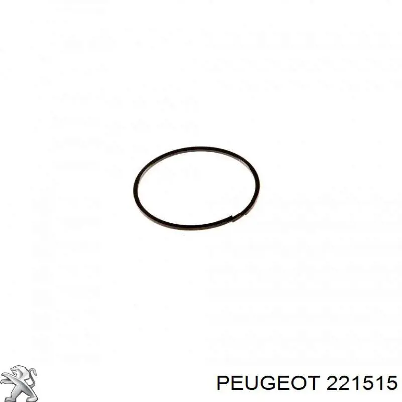 221515 Peugeot/Citroen колодки гальмові задні, дискові