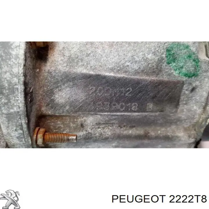 2222T8 Peugeot/Citroen 