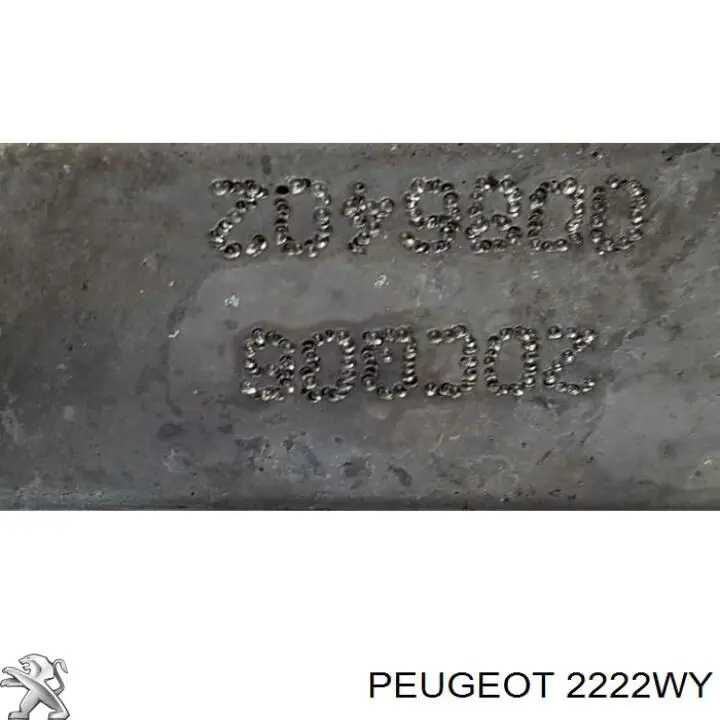 МКП в зборі Peugeot/Citroen 2222WY ціна, від 118.63 USD