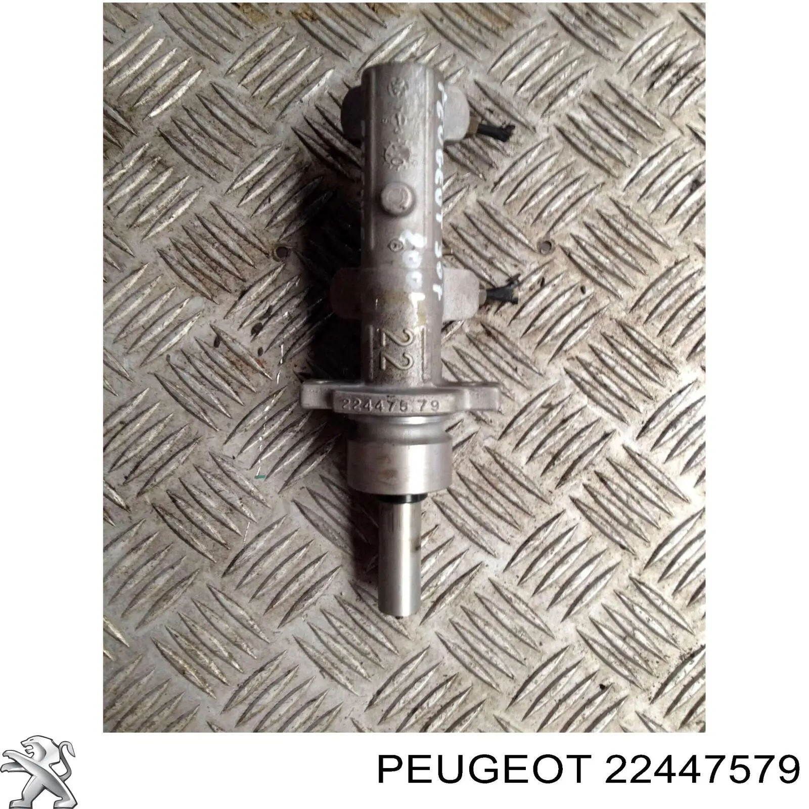 22447579 Peugeot/Citroen 