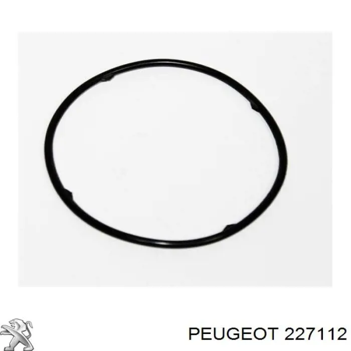 227112 Peugeot/Citroen кільце ущільнювача фільтра акпп