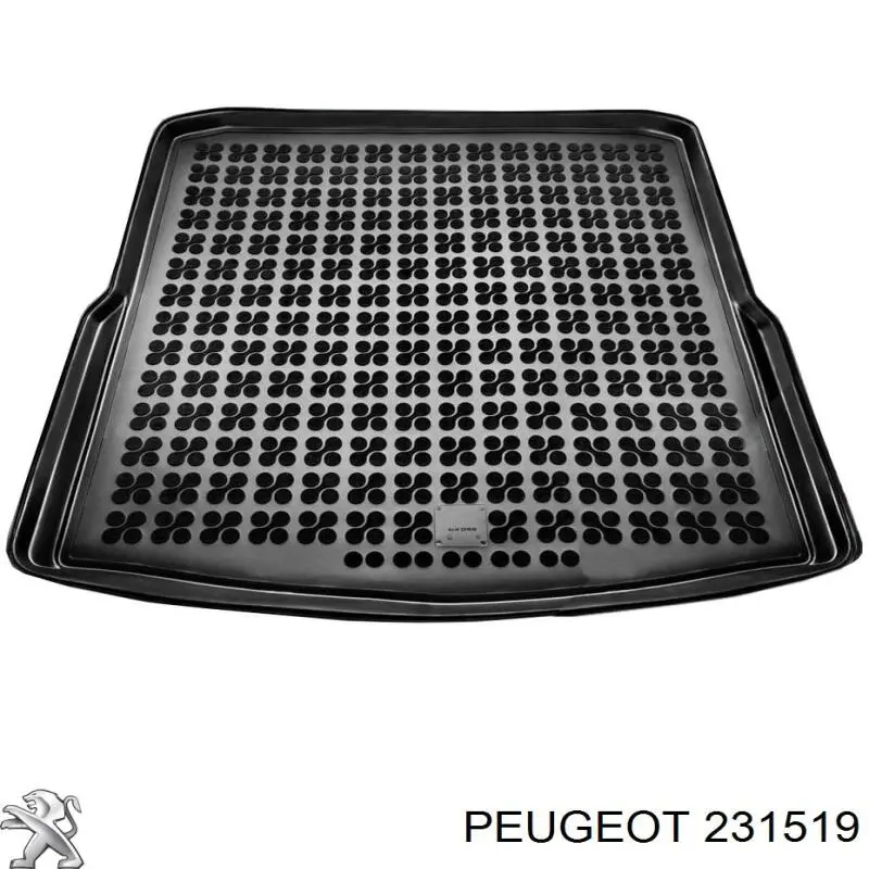 Купити 231519 Peugeot/Citroen 
