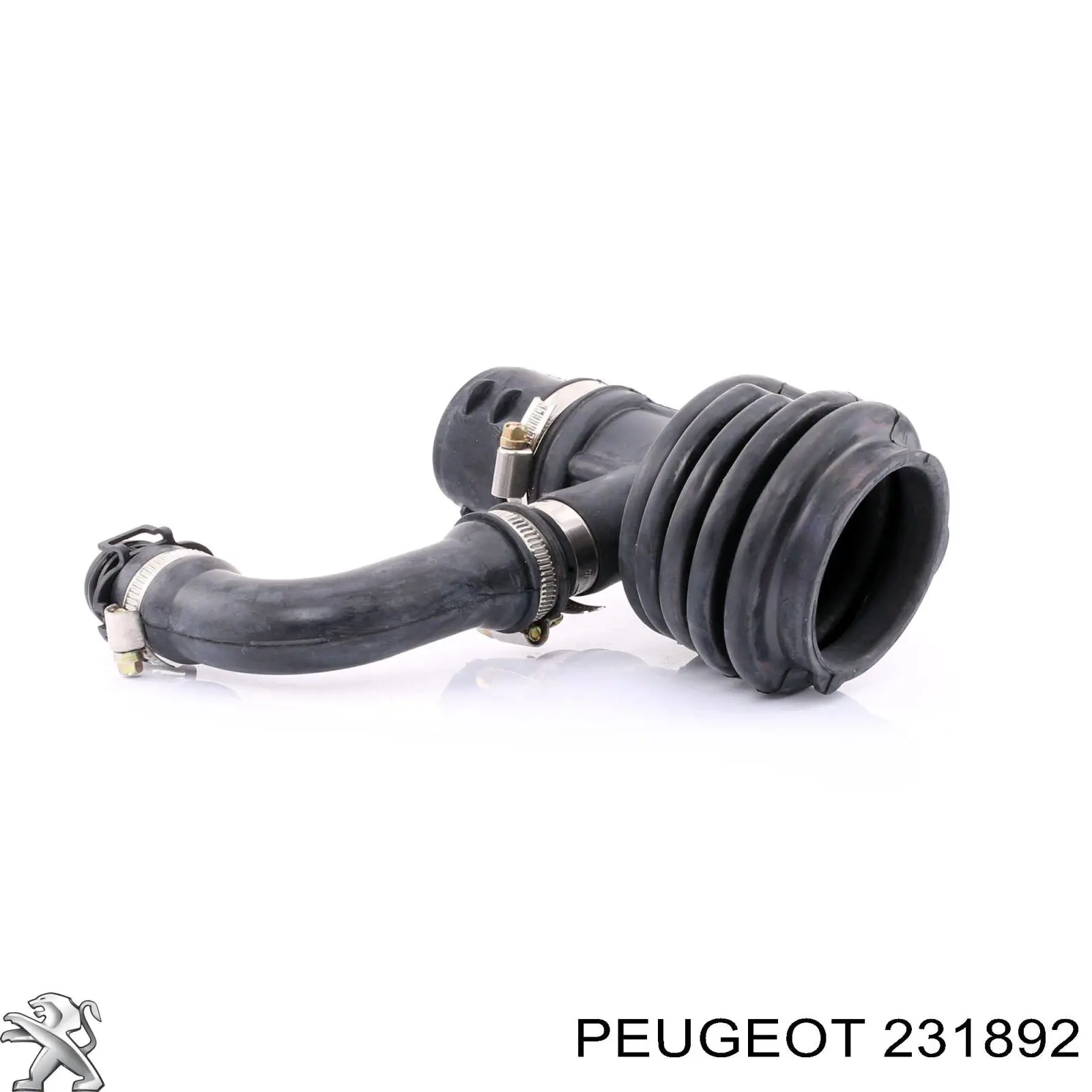 1623224280 Peugeot/Citroen 