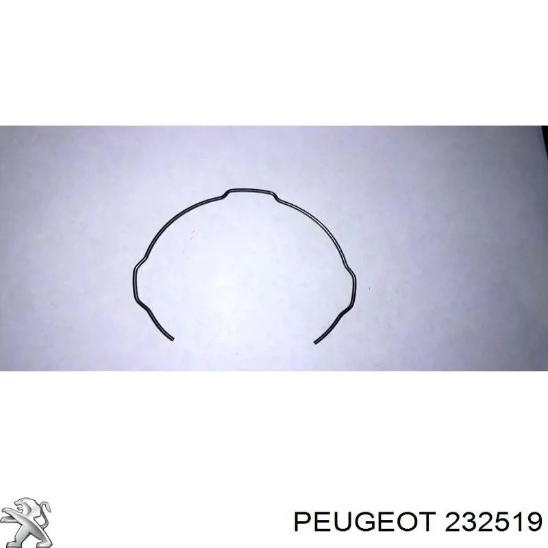 Купити 232519 Peugeot/Citroen Пружина синхронізатора КПП