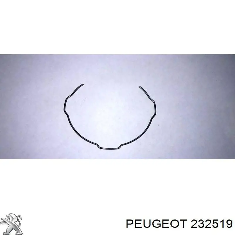 232519 Peugeot/Citroen пружина синхронізатора кпп