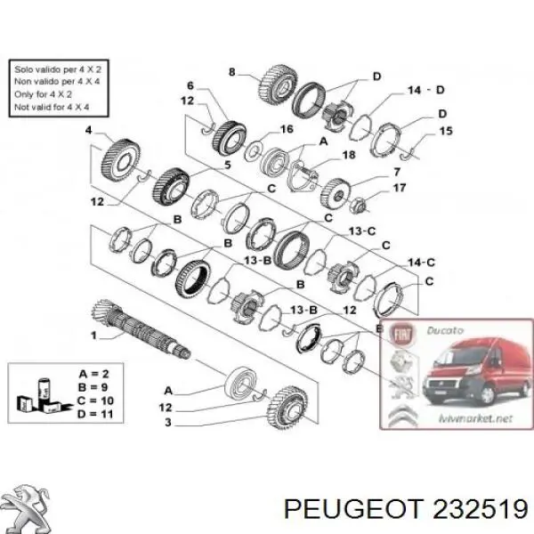 Купити RWS3092 Rotweiss Пружина синхронізатора КПП