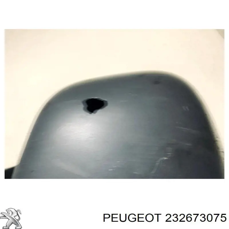 232673075 Peugeot/Citroen 
