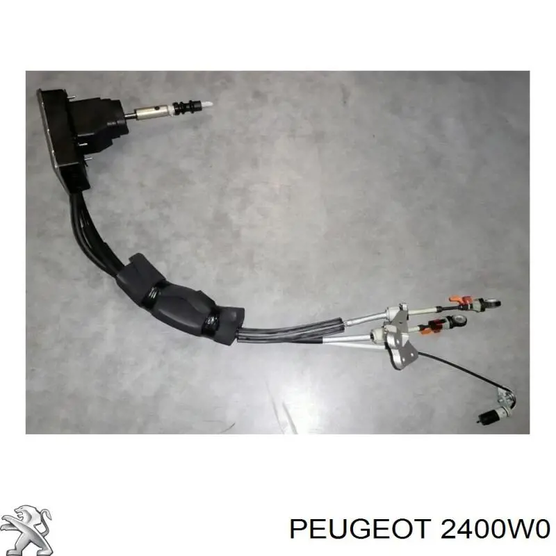  2400W0 Peugeot/Citroen