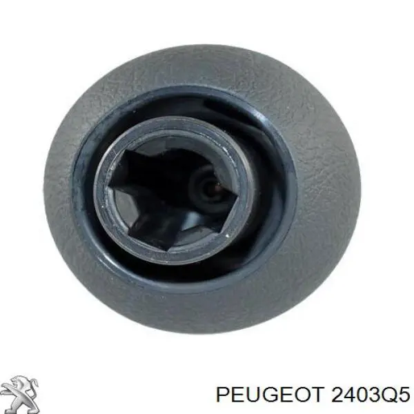 Рукоятка важеля КПП Peugeot/Citroen 2403Q5 ціна, від 43.95 USD