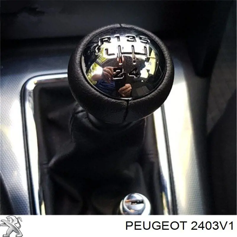 Купити 25221 3RG Рукоятка важеля КПП