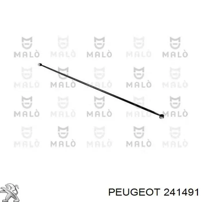 241491 Peugeot/Citroen Шток включення коробки передач