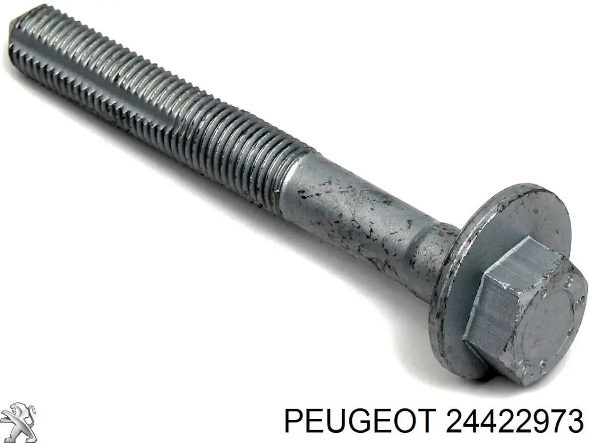 24422973 Peugeot/Citroen болт кріплення заднього розвального важеля, внутрішній