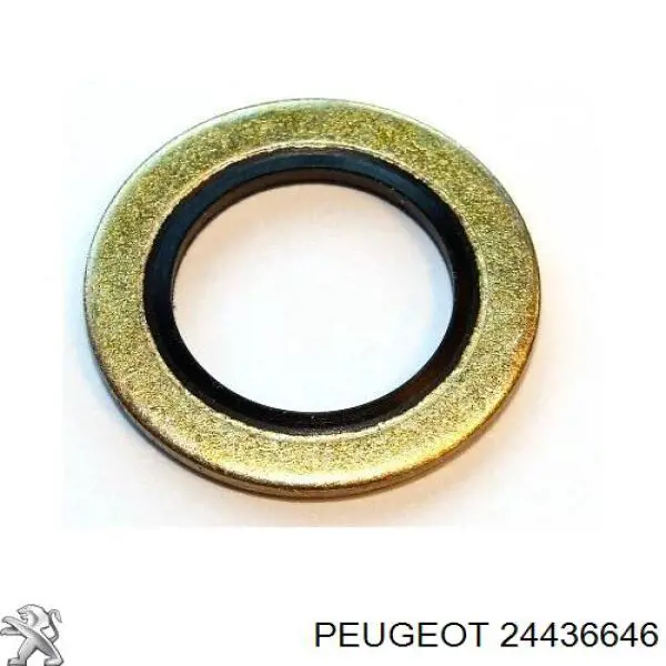 24436646 Peugeot/Citroen Кільце ущільнювача шланга компресора, зворотнього