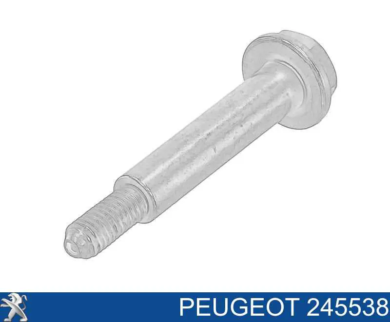 245538 Peugeot/Citroen 