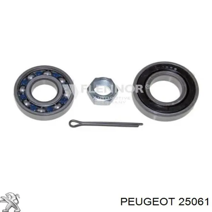 Купити 025061 Peugeot/Citroen Болт клапанної кришки ГБЦ