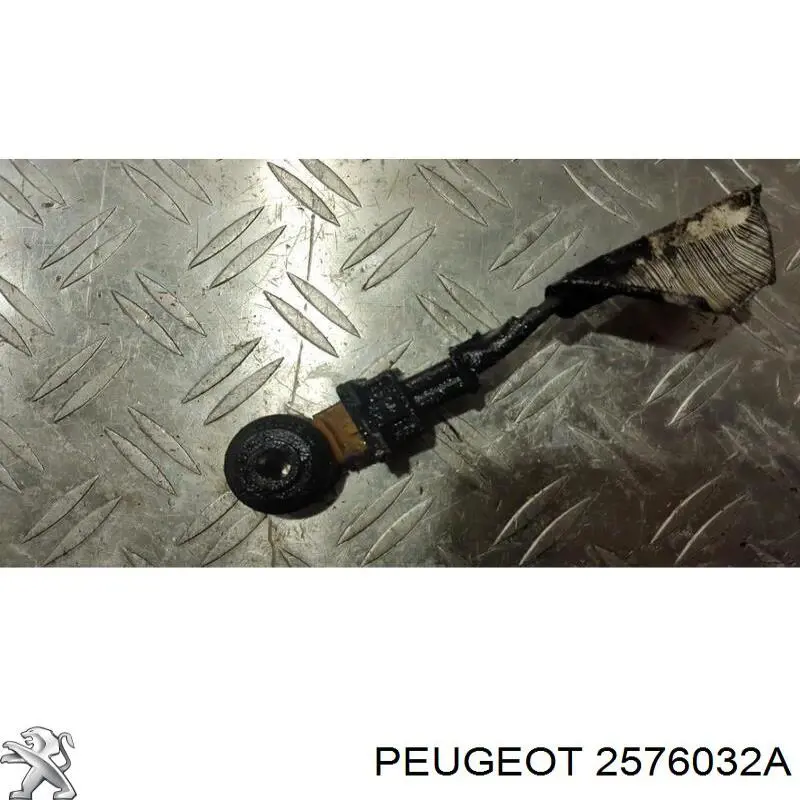  2576032A Peugeot/Citroen