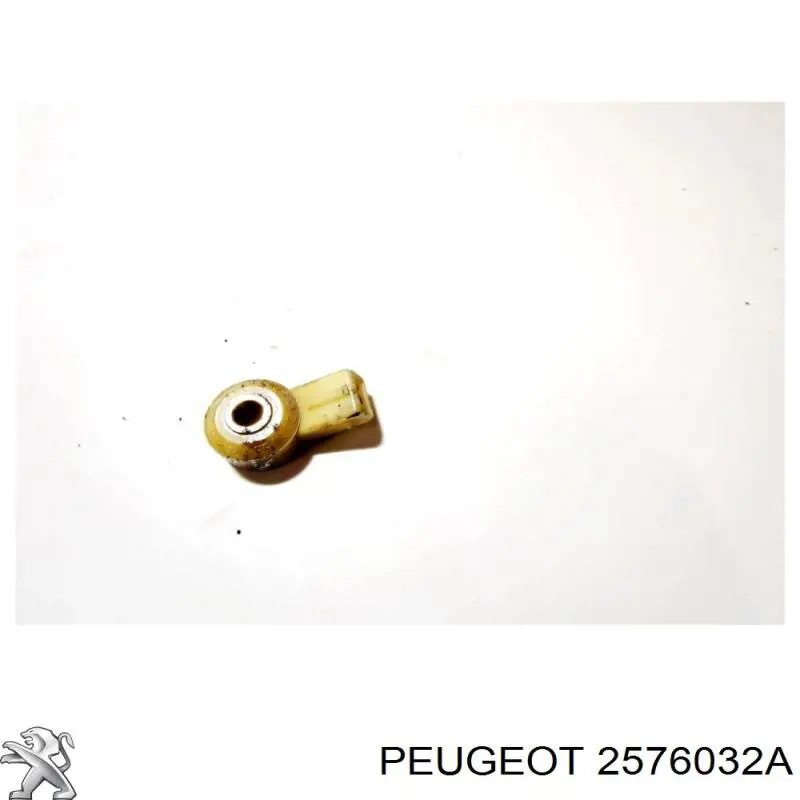  Peugeot/Citroen 2576032A