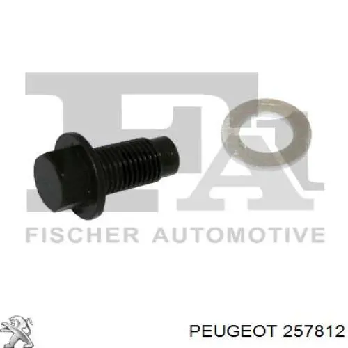 257812 Peugeot/Citroen 